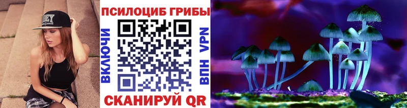 MEGA tor  продажа наркотиков  Кимовск  Псилоцибиновые грибы Magic Shrooms 